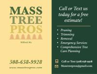 Mass Tree Pros image 2
